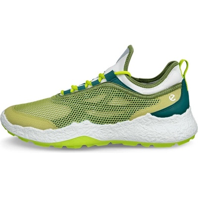 Ecco Golf Biom H5 Mens green