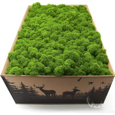 Stabilizovaný fínsky mach- May Green 4kg