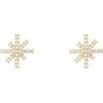 Daniel Wellington Дамски стоманени обеци Daniel Wellington Mirelle Star DW00401611 Daniel Wellington | Mnogotsveten | ЖЕНИ | UNI