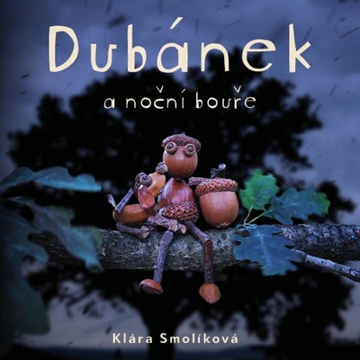 Dubánek a noční bouře - Smolíková - Zadražil Jan