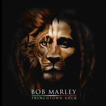 Bob Marley - Trenchtown Rock (Reissue) (Yellow Coloured) (LP) (3700477836719)