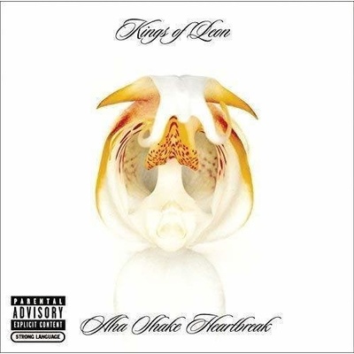 Kings of Leon - Aha Shake Heartbreak (2 LP) (0889854217716)