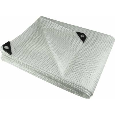 Dedra Plachta 3x5m 100g/m2 průhledná vyztužená