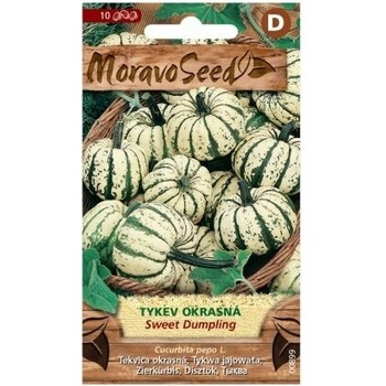 Semená okrasné okrúhle tekvice SWEET DUMPLING, bielo-zelené, 10 ks.