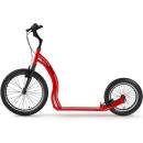 Image 1 of Yedoo Rodstr