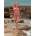 EmonaMall Бански костюми EmonaMall - модел W14038 (W14038-11264-4-SM)
