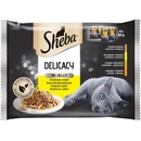 Sheba Delicacy in Jely Hydinový výber 4 x 85 g