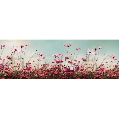 Dimex KI180-126 Dimex Fototapeta do kuchyně Spring Field rozměry rozměry 180 x 60 cm