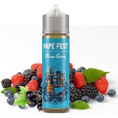 Vitastyle Blues Berry Vape Fest S & V 10 ml