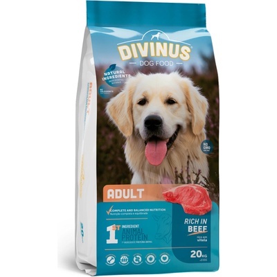 Divinus Adult dla psów dorosłych 20 kg