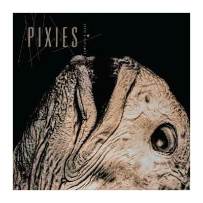 Pixies - Complete B-sides 1988-1997 (+6 Bonus Tracks) CD