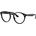 Ray-Ban Larry RX7680V 2000