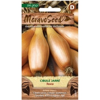 Nohel Garden Cibule jarní Tosca