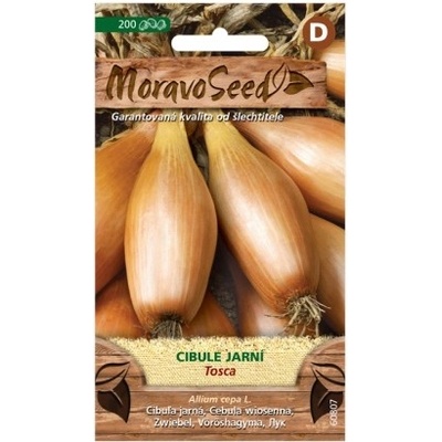 Nohel Garden Cibule jarní Tosca