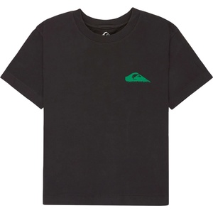 Quiksilver Дамска тениска Quiksilver Women's Standard S/S Tee T-shirt - Tarmac (916-7077-0312)