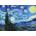 Enjoy - Puzzle Vincent Van Gogh: Starry Night - 1 000 piese