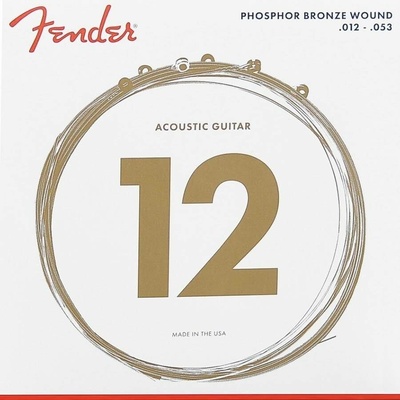 Fender 60L