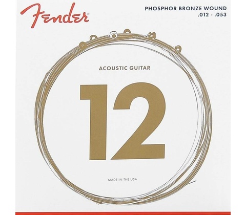 Fender 60L