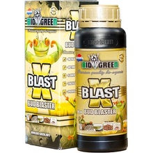 BioGreen X-Blast 1 l