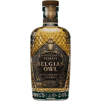 Belgian Owl Intense