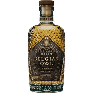 Belgian Owl Intense