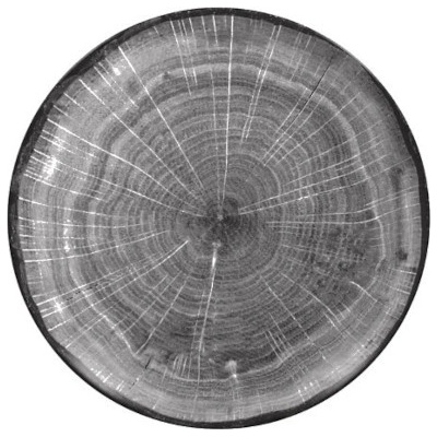 RAK Porcelain Woodart talíř dezertní coupe 15 cm šedá WDNNPR15BG-24 šedá