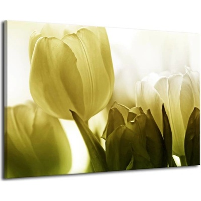 Zelenkavé tulipány plátno 1 90x60