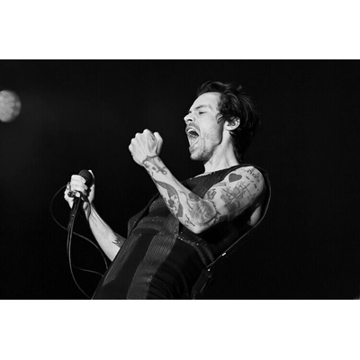 Dave Hogan Plagát, Obraz - Harry Styles At Radio 1 Big Weekend, 40 × 26.7 cm