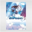 Diplom 6656
