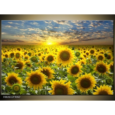 Moderní obraz F002612F9060 (Jednodílný 90x60 cm)