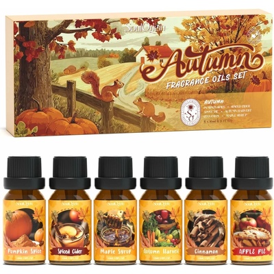 Salubrito Éterické oleje Autumn sada 6 × 10 ml