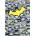 Блок-нот Kite DC Batman A5 50 л. Каре (A5 50)