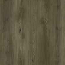 Republic Grizzly G002 Bankster 2,22 m²