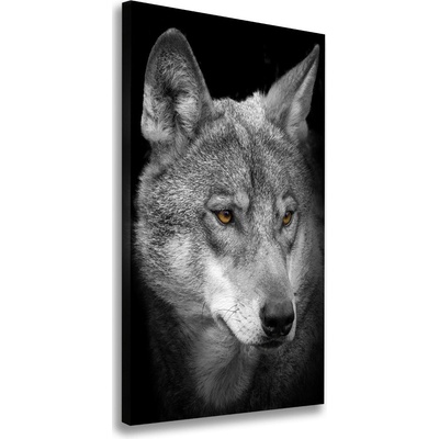Vertikálny foto obraz na plátne Portrét vlka 50x100 cm