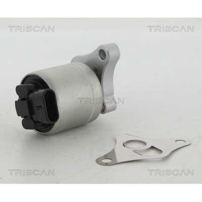 AGR - Ventil TRISCAN 8813 24002