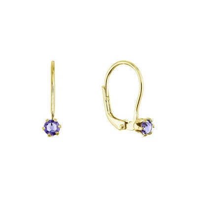 Evolution Group Pozlacené visací náušnice s Preciosa krystalem 31322.3 tanzanite