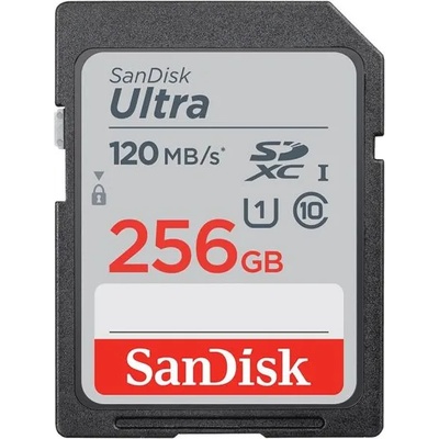 SanDisk Ultra SDXC 256GB (SDSDUN4-256G-GN6IN/186499)