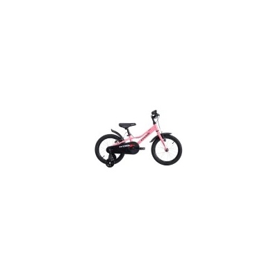 Cross Daisy 16 (2026)
