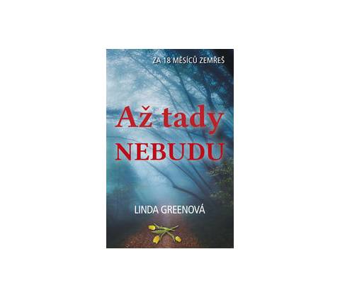 Až tady nebudu