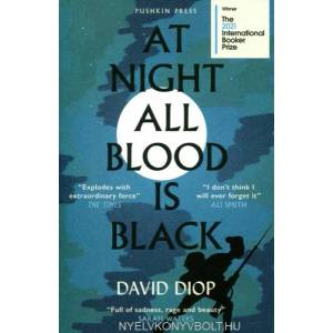 At Night All Blood is Black | Anna Moschovakis (ISBN: 9781782277538)