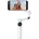 Insta360 Flow 2 Pro (CINSABQB(HU))