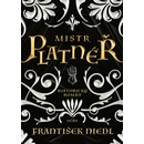 Mistr platnéř