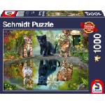 Schmidt Spiele Пъзел Schmidt от 1000 части - Мечтай смело! (57392)