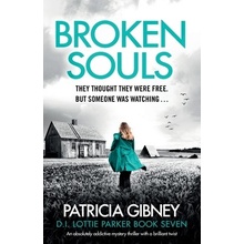 Broken Souls: An absolutely addictive mystery thriller with a brilliant twist Gibney Patricia