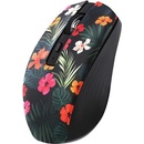 TnB Exclusiv Amazonia MWXAMAZO