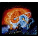 Gamma Ray - Insanity & Genius CD