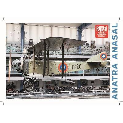 Anatra Anasal