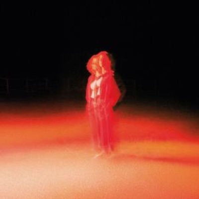 Katherine Priddy - These Frightening Machines (Gatefold Sleeve) (Red/Black Smoke Coloured) (LP) (0711297925432)