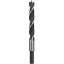 Bosch 2609255210