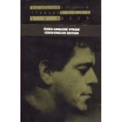 Mezi myšlenkou a vyjádřením. Between Thought and Expression - Lou Reed